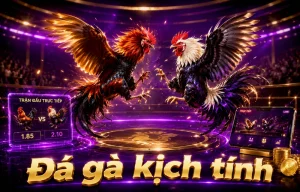 Sảnh đá gà masonlawfirmpc